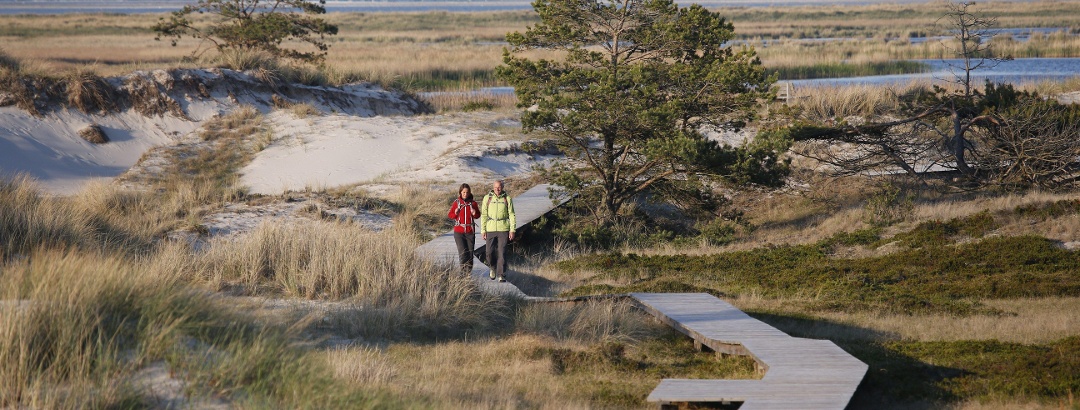 Dünen am Darßer Ort