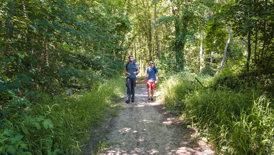 A stroll along the long-distance footpaths of Terres de Seine