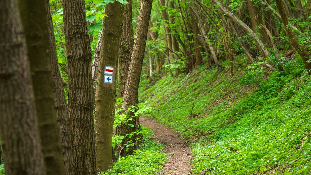 Tourist signs on the Nuschy promenade