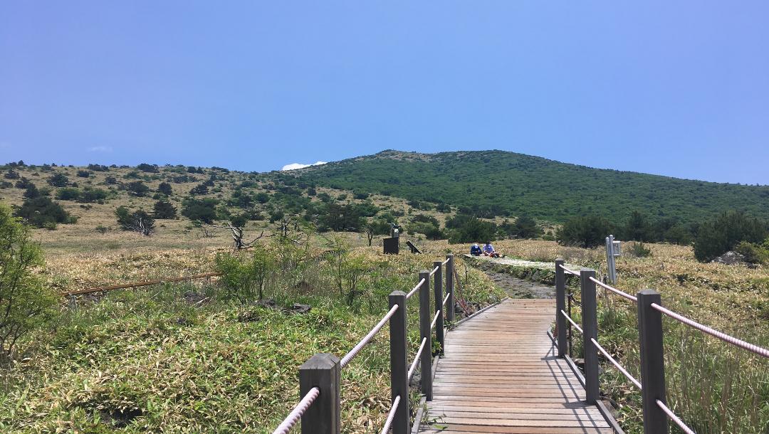 Once you leave the dense forest behind, the path leads on wooden planks over a beautiful high meadow landscape