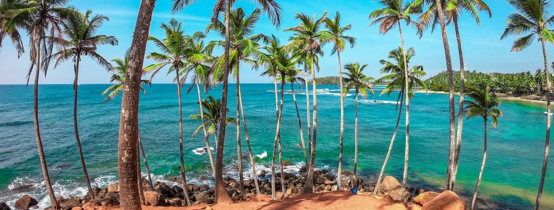 Strand von Mirissa in Sri Lanka.