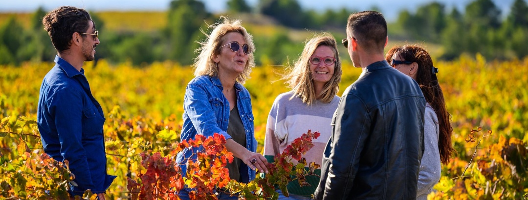 In the Vignobles de Valmagne in autumn